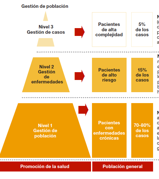 La pirámide de Kaiser nos pone para privatizar mucho. Aqui, la del informe de PwC